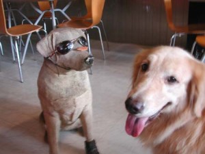 1380945047-221388341