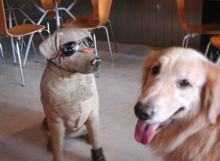 1380945047-221388341