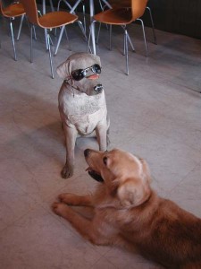 1380945048-280505747