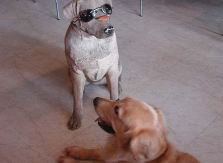 1380945048-280505747