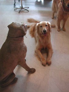 1380945048-4155925999