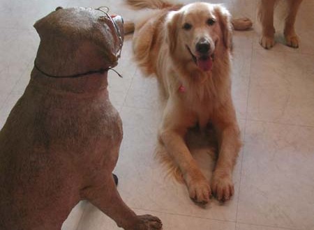 1380945048-4155925999