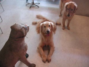 1380945048-654617370