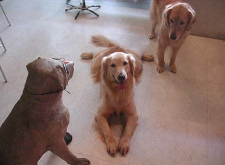 1380945048-654617370