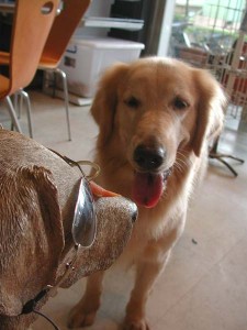 1380945049-3245947177