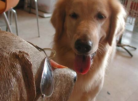 1380945049-3245947177