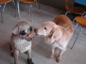 1380945050-1331484194