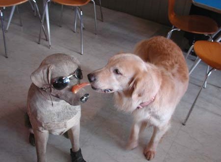 1380945050-1331484194