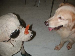 1380945050-1482092670