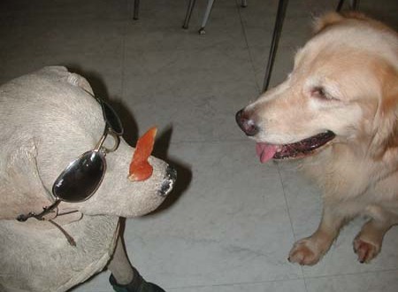 1380945050-1482092670