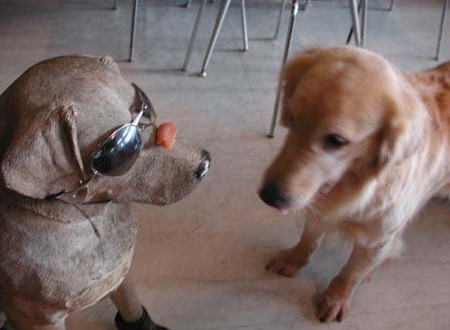 1380945050-1873229404