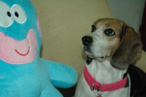 1380945053-880316757