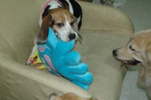 1380945054-1174899789