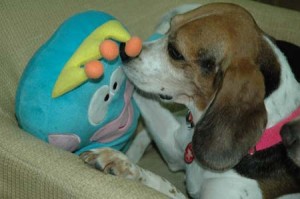 1380945054-1670343741