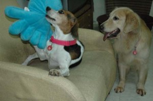 1380945055-2681549848