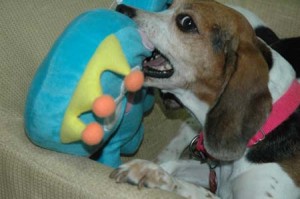 1380945055-3135083007