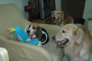 1380945056-1264214850