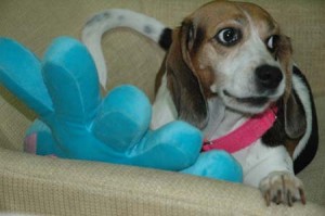 1380945057-1498594163