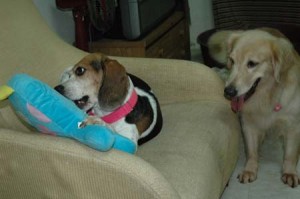 1380945057-160567246