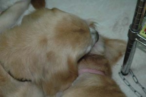 1380945066-1940041754