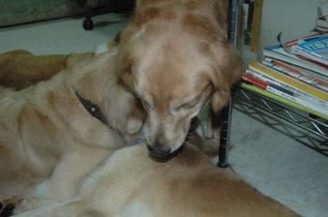 1380945066-972827373