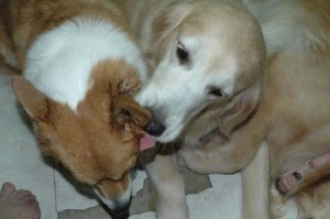 1380945067-1748300236