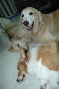 1380945067-2556131079