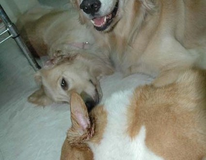 1380945067-2556131079