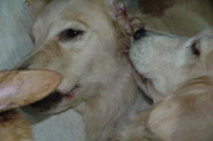 1380945067-3648305723