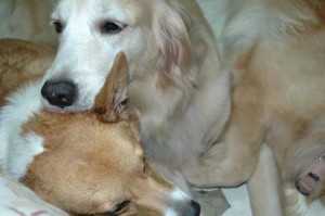 1380945068-1465075276