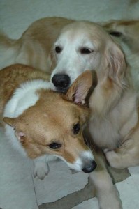 1380945068-2086893589