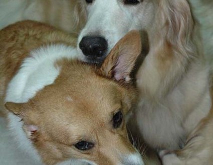 1380945068-2086893589