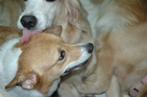 1380945068-3057658199