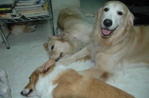 1380945069-3961172984