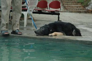 1380945078-2861517498