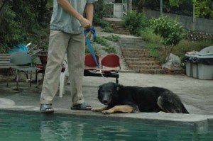 1380945079-1902575081