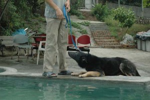 1380945079-3156819542