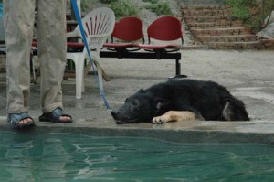 1380945080-2584690807