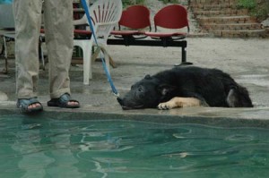 1380945080-4219718774