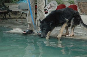 1380945081-1047833513