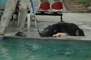 1380945081-1659963989