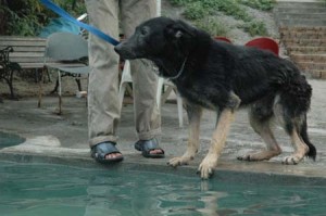 1380945081-2592266221