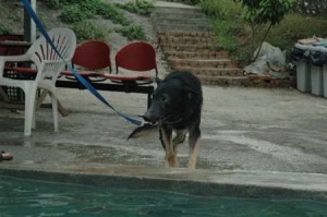 1380945082-1120013809