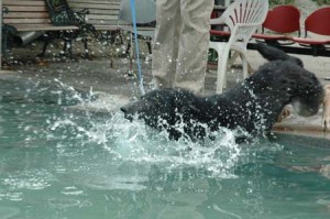 1380945082-2252395591