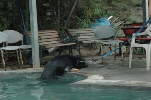 1380945083-3341327712