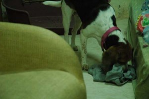 1380945095-396592735