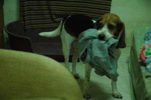 1380945096-1150569946