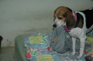 1380945096-3944770974