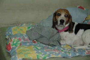 1380945097-850052546