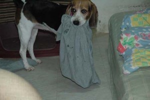 1380945098-484794869